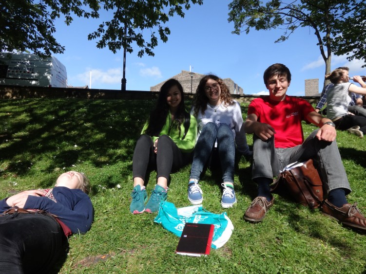 No more Arabic Literature!