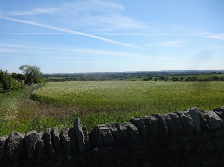 Durham City in the valley below New Brancepeth