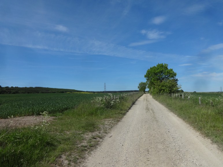 Looking north from New Brancepeth