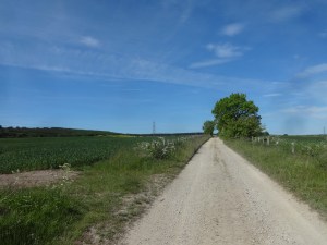 Looking north from New Brancepeth