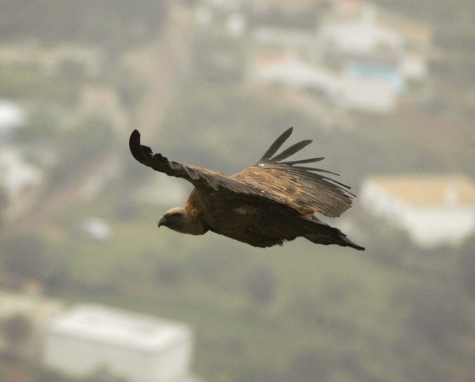 5385452975_2c3babecc1_o